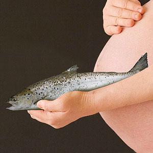 Embarazo, pescado, omegas y mercurio