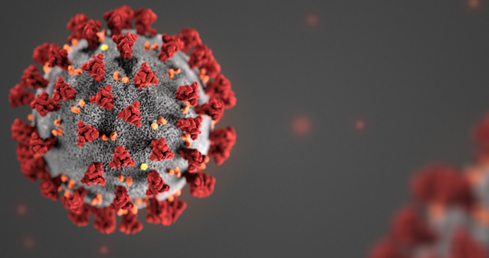 Coronavirus, embarazo y lactancia