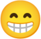 gran sonrisa gran sonrisa
